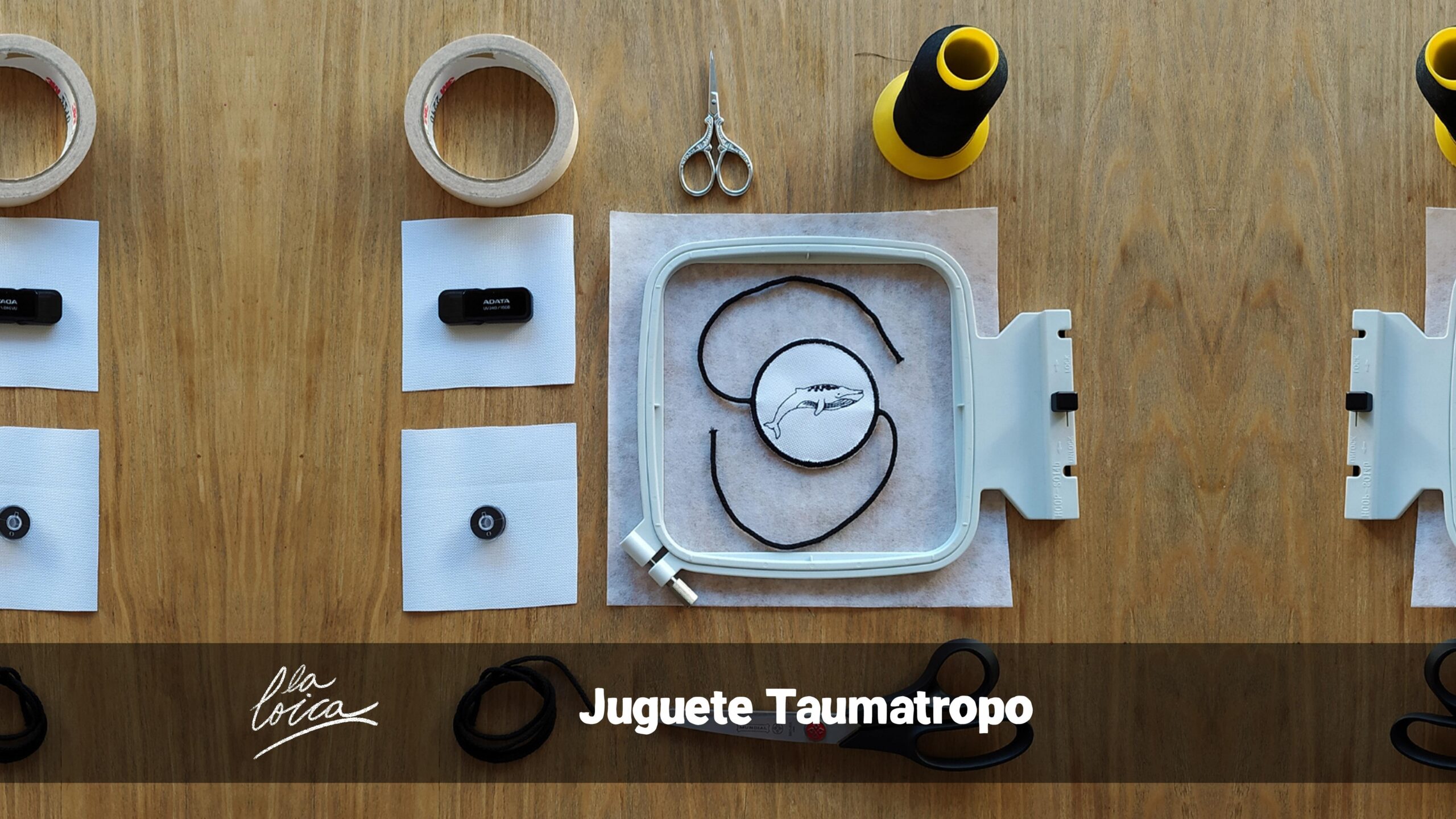 Juguete Taumatropo
